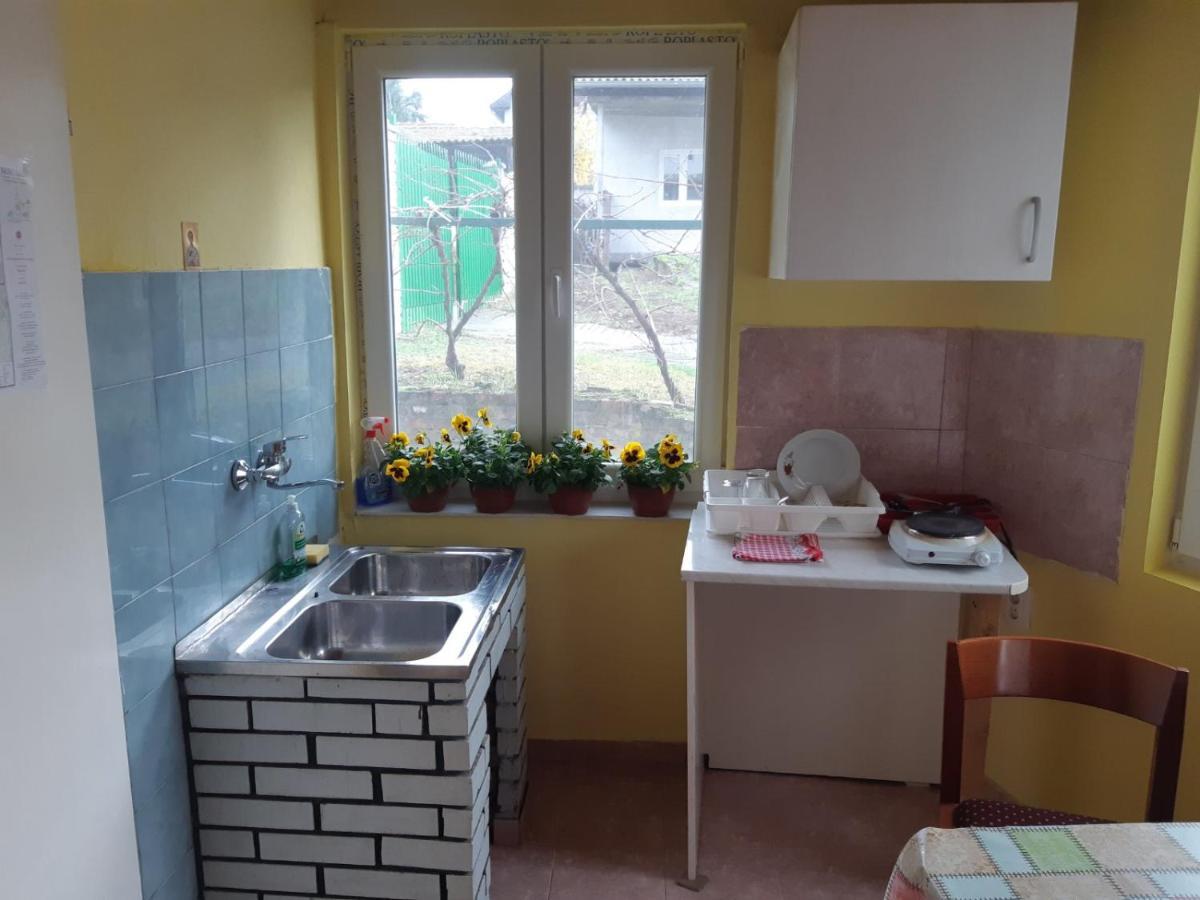 Apartman Novi Sad - Apartment Novi Sad Sremska Kamenica Экстерьер фото